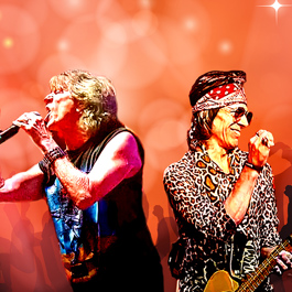 Mick Adams and The Stones Holiday Show